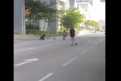 Dafi ducks danger as motorcyclists ride to missing poodle's rescue